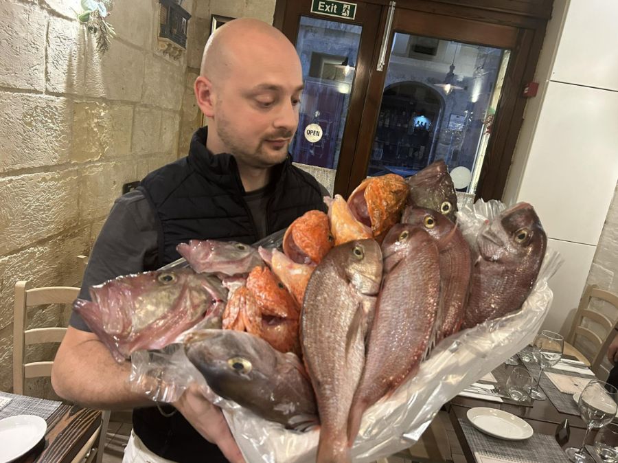 A staff member carrying an armful of fresh whole fish, including red snapper and scorpionfish, through the limestone dining room